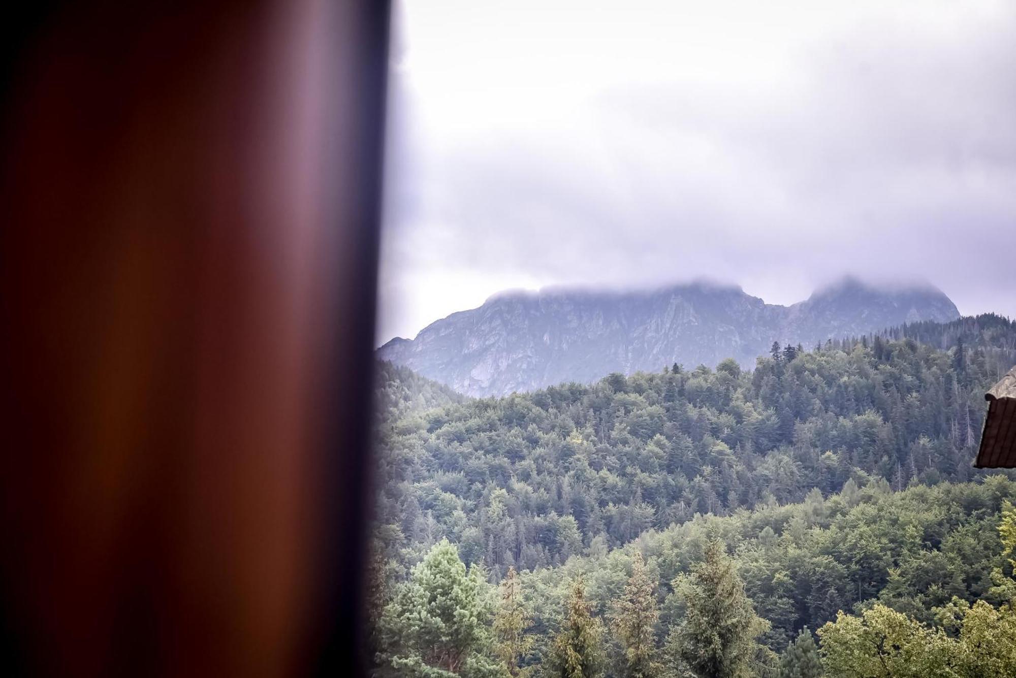 My Tatra Residence 扎科帕内 外观 照片